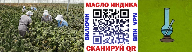ТГК Wax  Мезень 